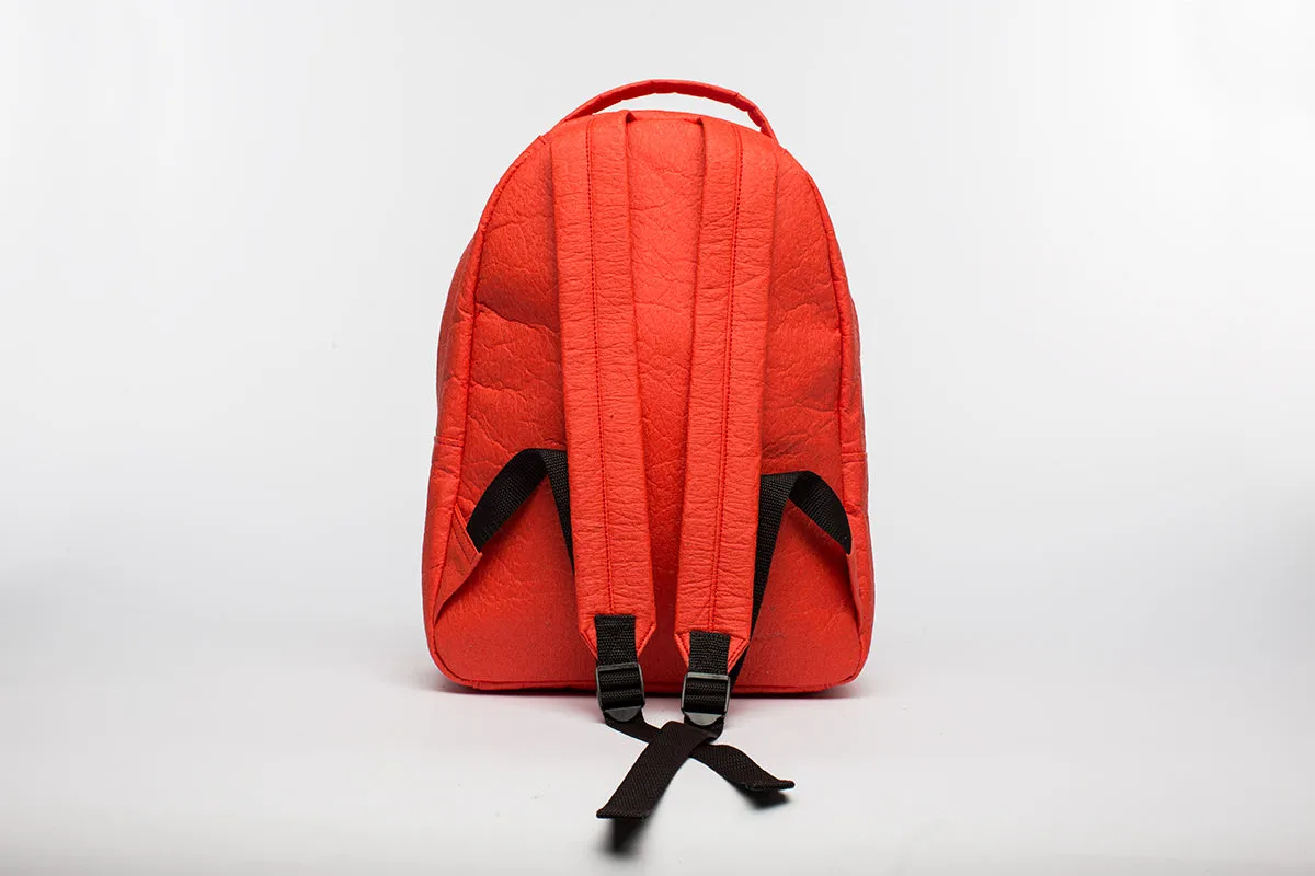 Earth Bag Standard, Red Pinatex (Upcycled Billboard Bags)