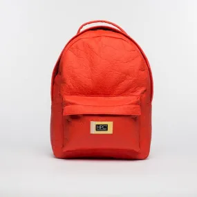 Earth Bag Standard, Red Pinatex (Upcycled Billboard Bags)